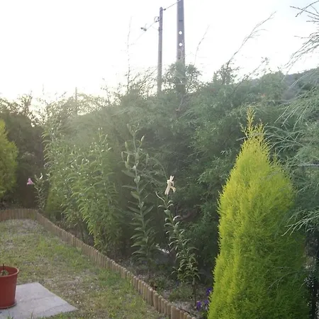 Carneiro Country Casa Batatas * Amarante