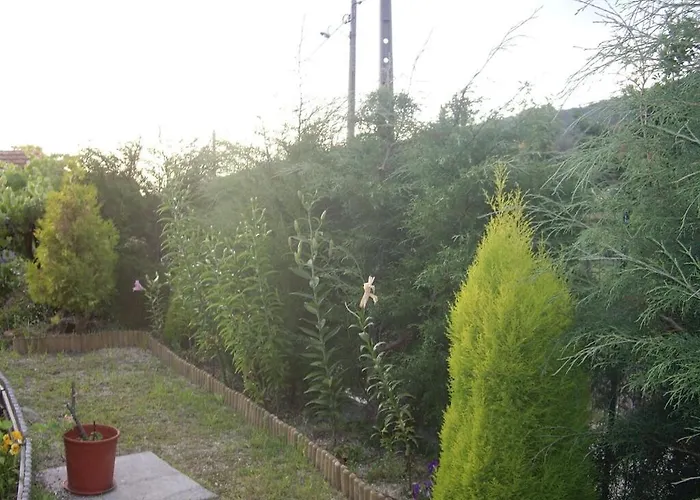 Carneiro Country Casa Batatas * Amarante